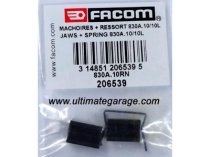 (830A.10RN) -Repair Kit-Ratcheting Tap Wrench (Facom)