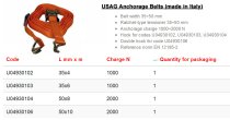 (493C-3)-Ratcheting Tie Down (Anchorage Belt w/hooks)(8m)(USAG)